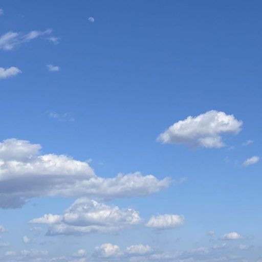 ZIGEN⭐️男性用⭐️肌バリアアップ！角質層ダメージダウン！⭐️オールインワンフェイスジェル